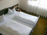 dh02.500x375.jpg - 